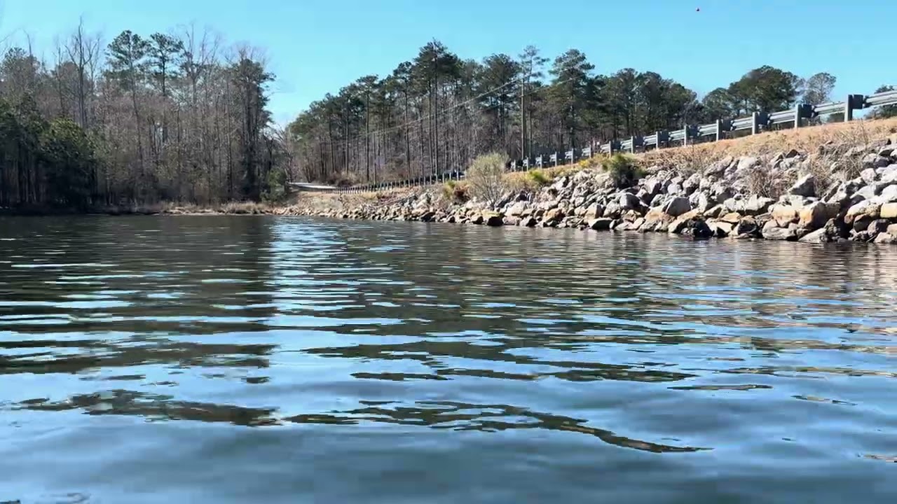 Relaxing 4K Fishing | Calm Lake, Bridge Traffic, Natural Audio #FishingASMR #LakeLife #NaturalSounds