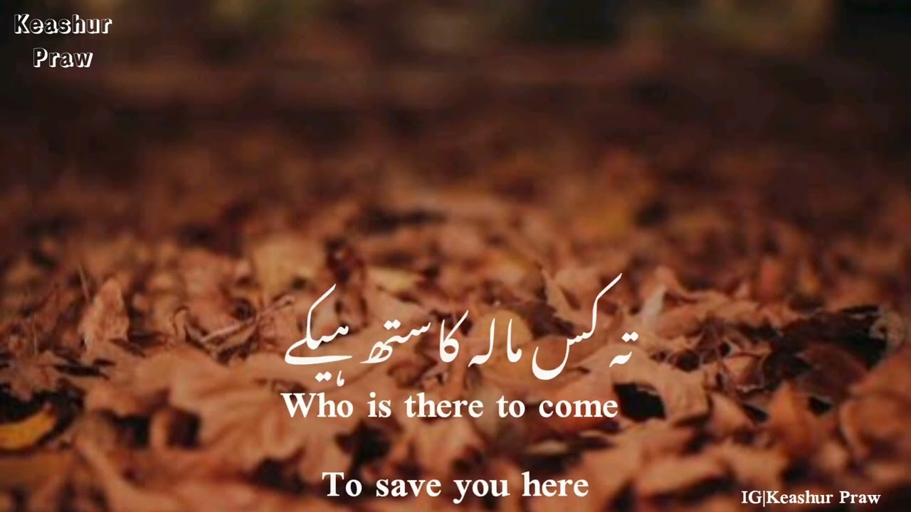Kalam e Sheikh Ul Alam with English Translation| Kashmiri Poetry|Touqeer Ashraf 🎙️