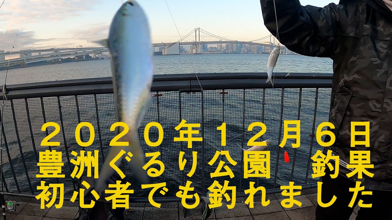 ２０２０年１２月　釣り　豊洲ぐるり公園　「ヤバいの釣れた」初心者釣り師達の挑戦