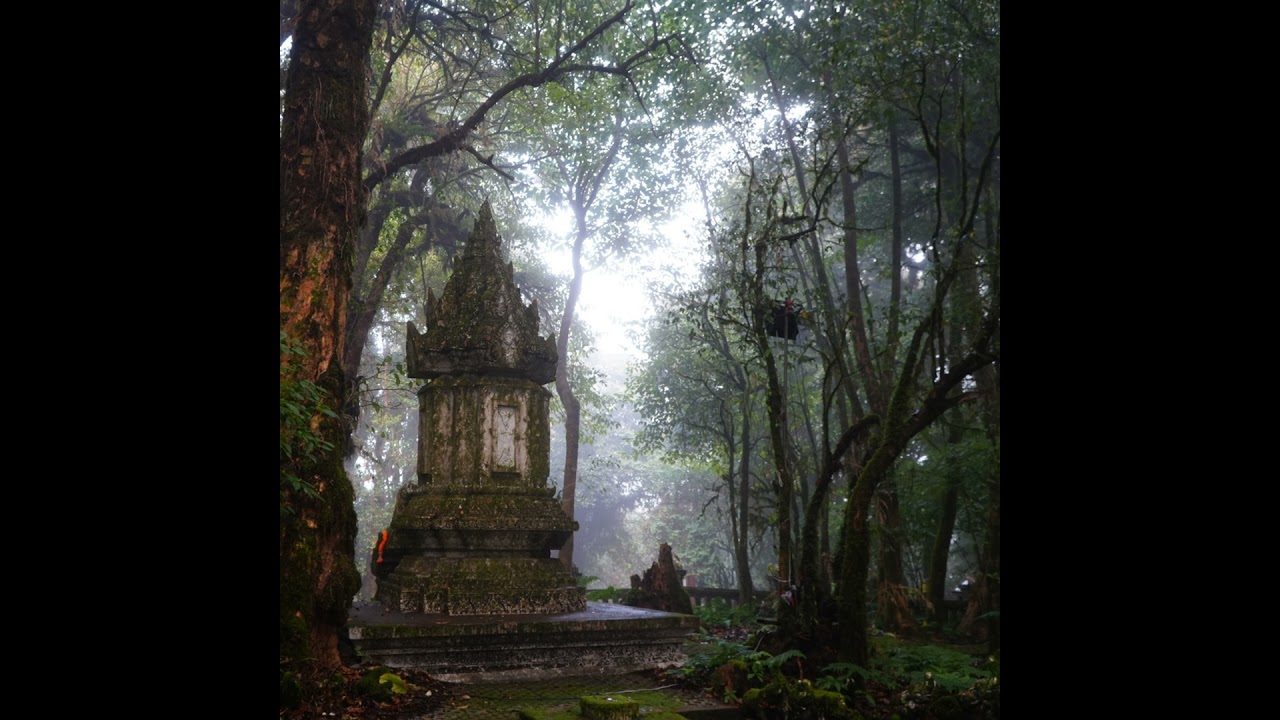 Animacy in Zen — January 13, 2026 — Dharma Talk