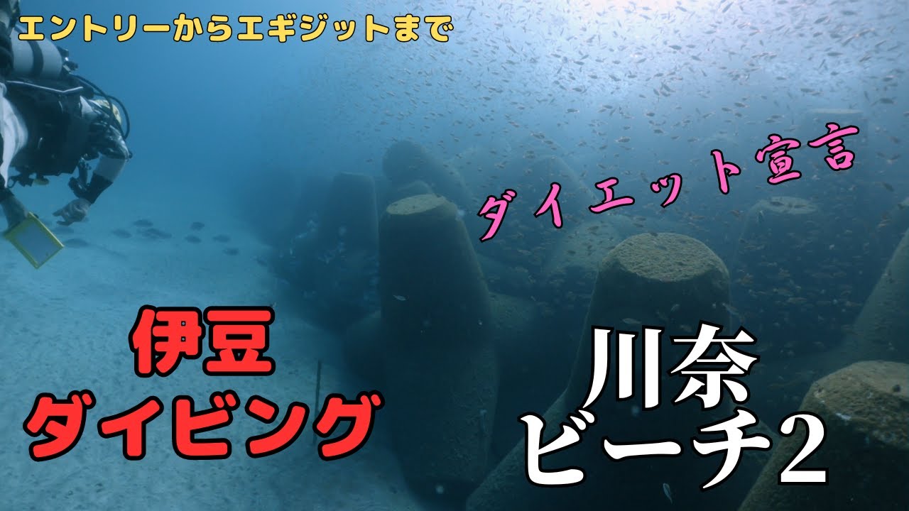 ＜テトラよき2＞川奈ビーチでドライスーツ講習受けてきた＜ドライSP＞