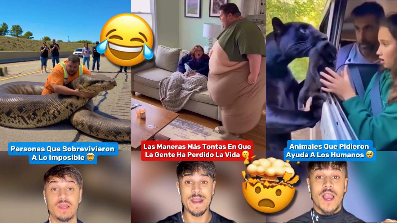 Los MEJORES TIKTOK 2025 Dani Itss 😂 #3 