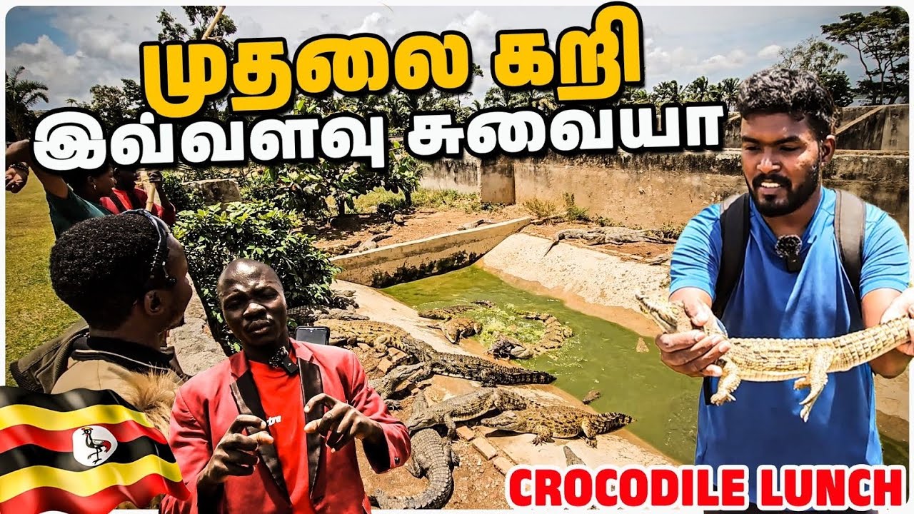 உகாண்டாவில் 🐊 முதலைக்கறி😳🥵 Crocodile Lunch |  Kajan Vlogs