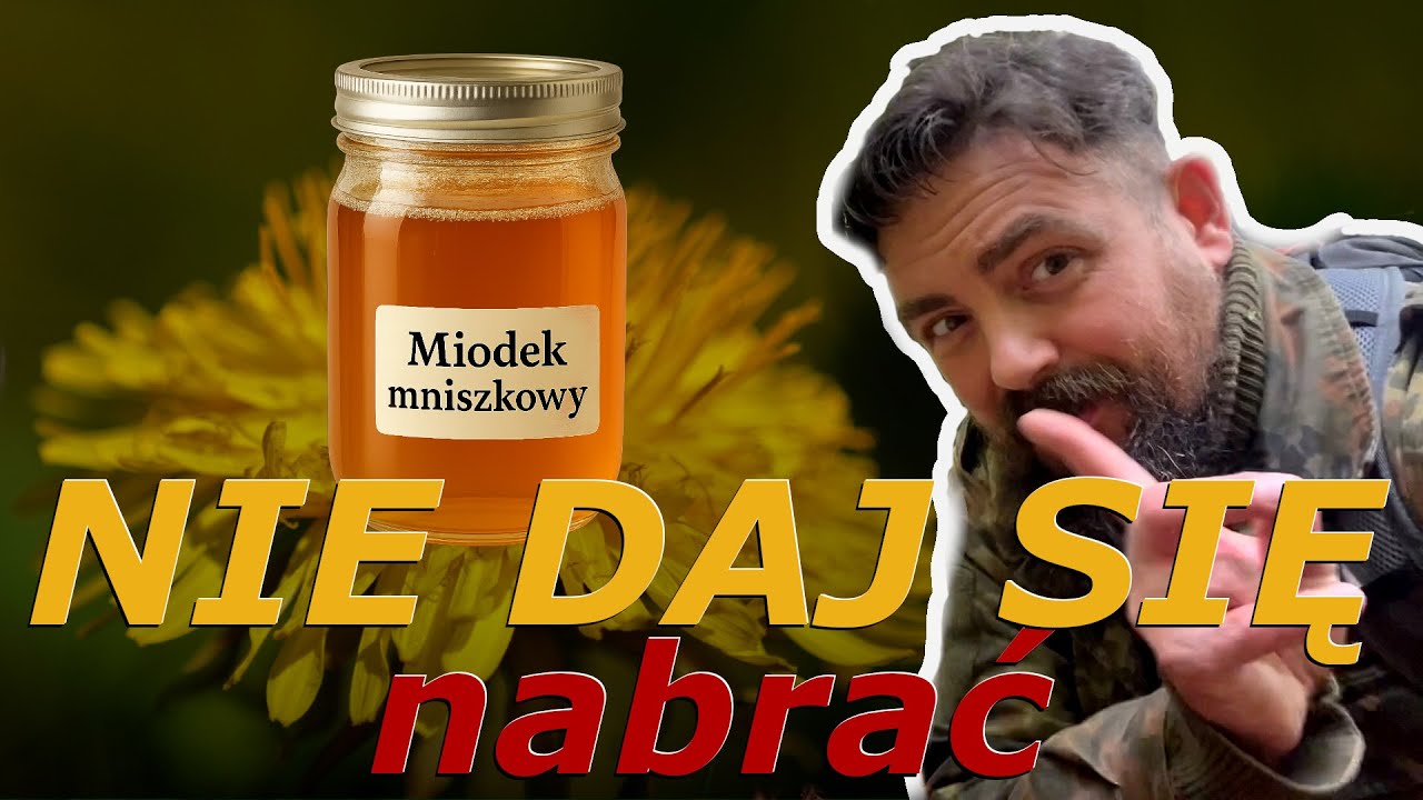Syrop z mniszka - piękna ściema. Prawda o kwiatach mniszka lekarskiego.