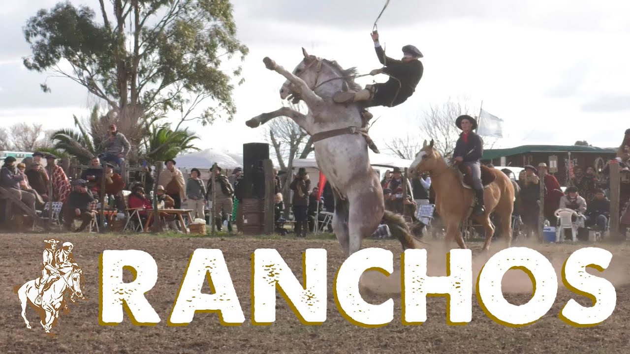 APADRINANDO Nº350 - 2º FIESTA AMIGOS DEL CEIBO - RANCHOS - BUENOS AIRES 🐎