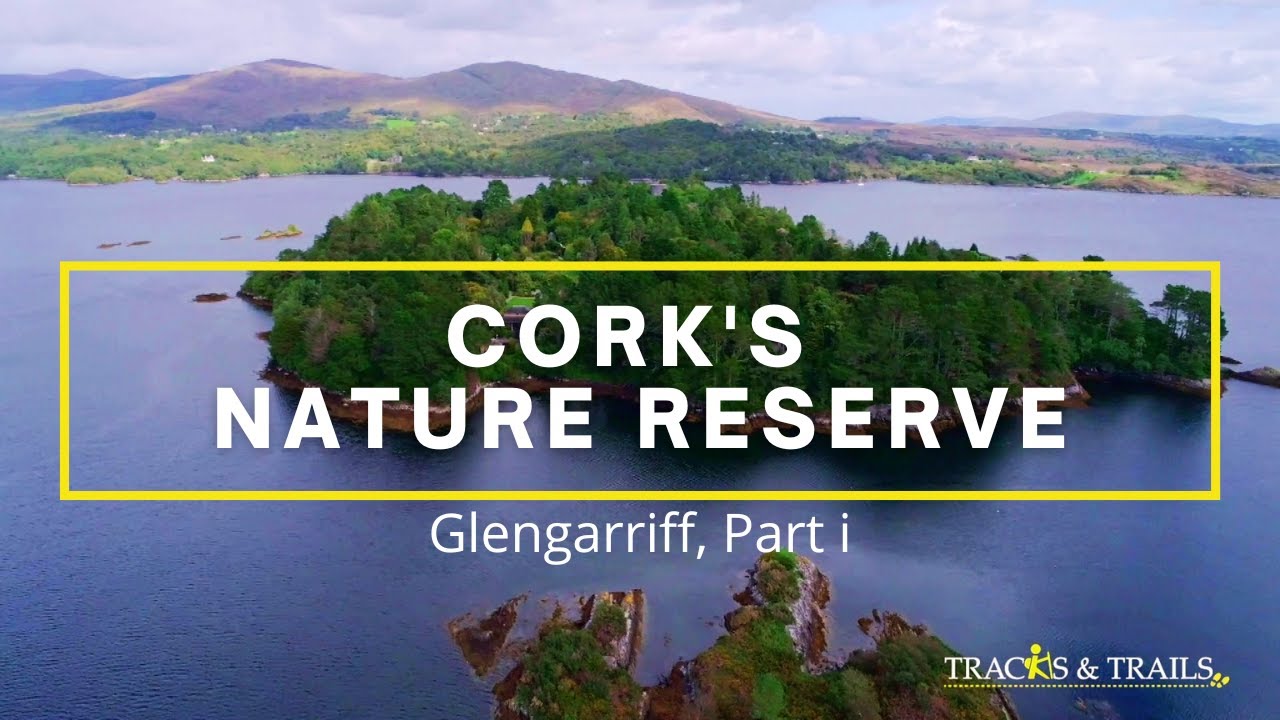 Cork's Nature Reserve Glengarriff Woods, part i (full episode Tracks & Trails)