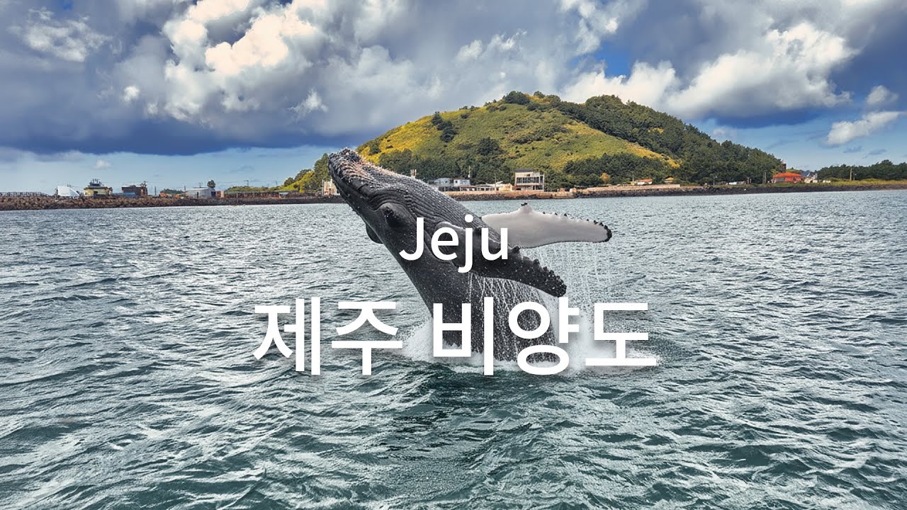 제주 비양도의 모든것을 다 보여주는 영상.  (Jeju Biyangdo Story)