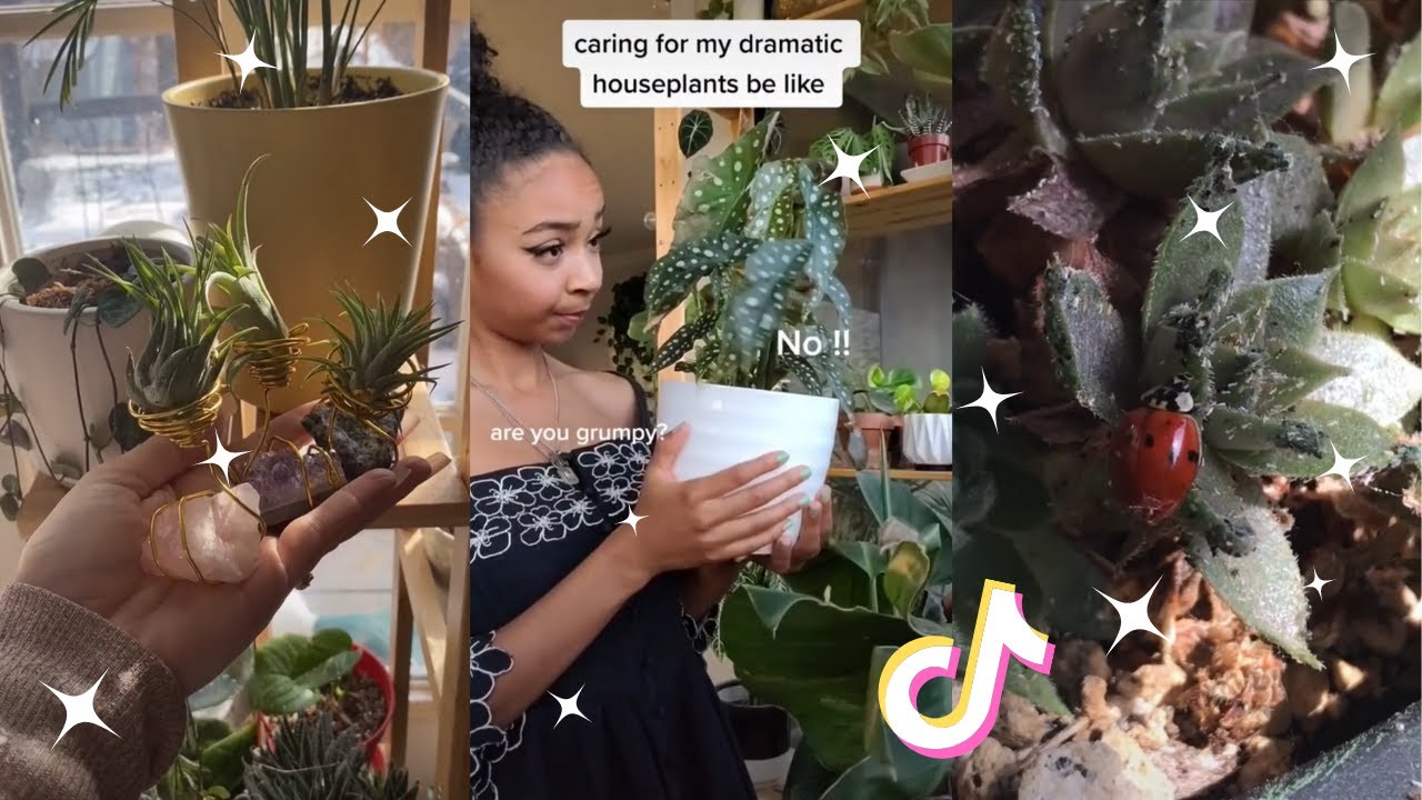 Planttok 🌱 Part 10 🌱  tiktok compilation