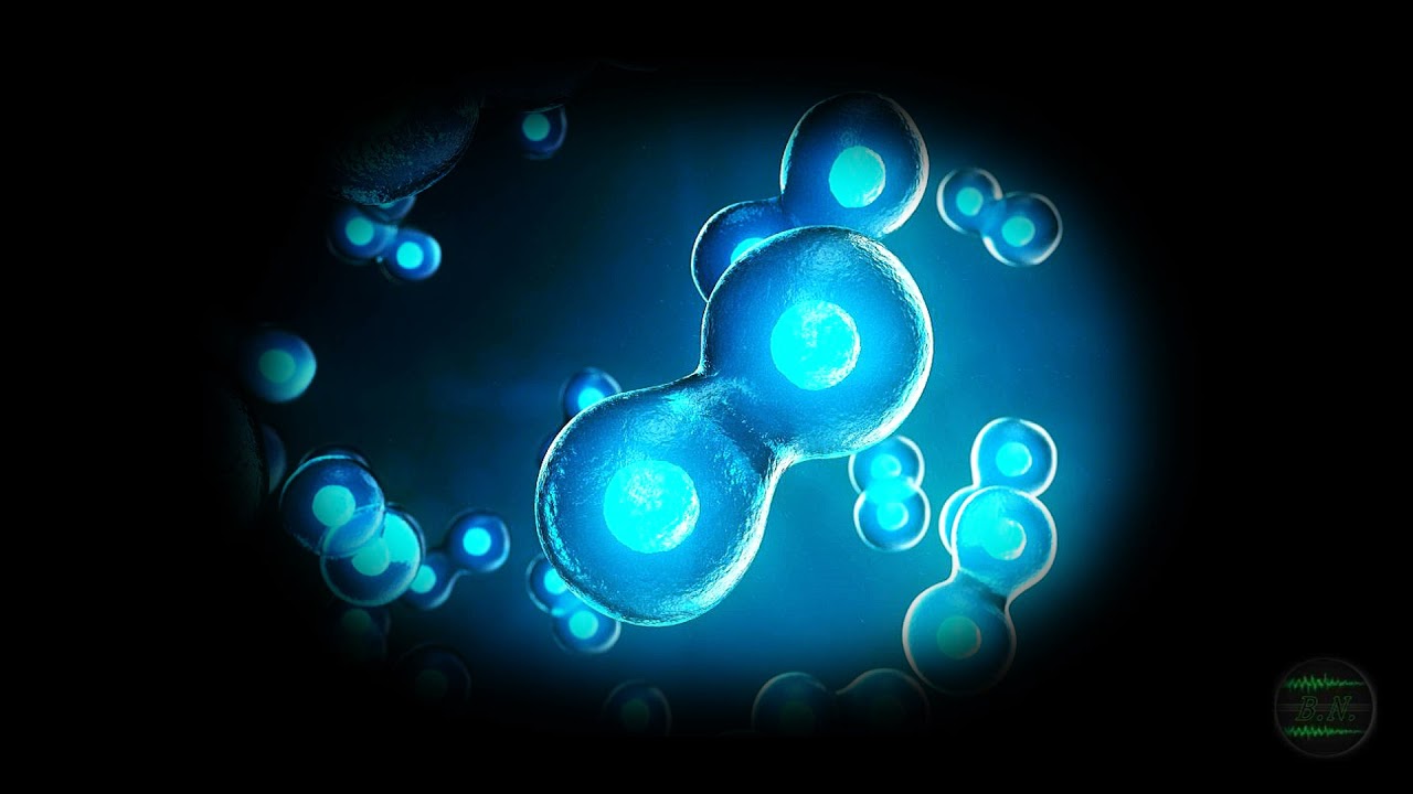 - STEM CELLS - Healing Frequencies (Improved Natural Healing Processes / Stem Cells Production)