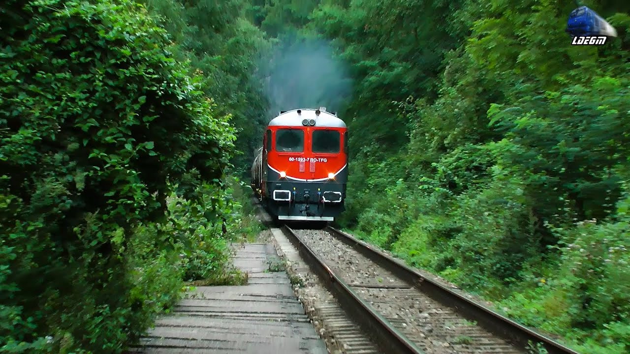 Sulzer Power-DA 60-1593-7 cu Mecanic Grozav/with Great Engineer in Defileul Crisului Repede`s Canyon