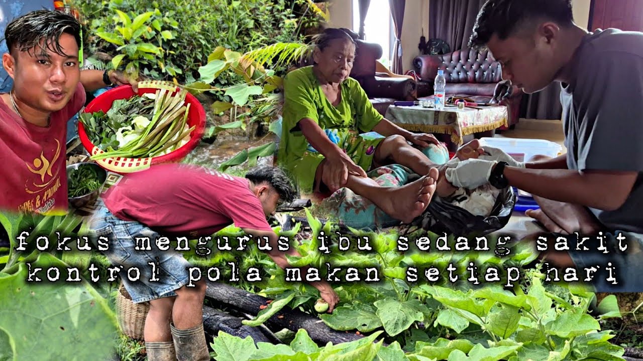 Mengurus ibu yang sedang sakit dengan penuh kesabaran dan ihklas warta petani muda hidup di hutan