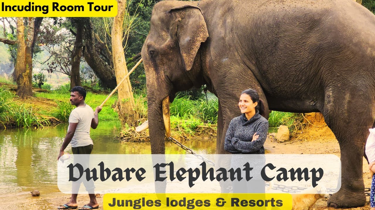 Dubare Elephant Camp : Jungle Safari and Luxury Stay at Jungle Resort || Exploring Coorg