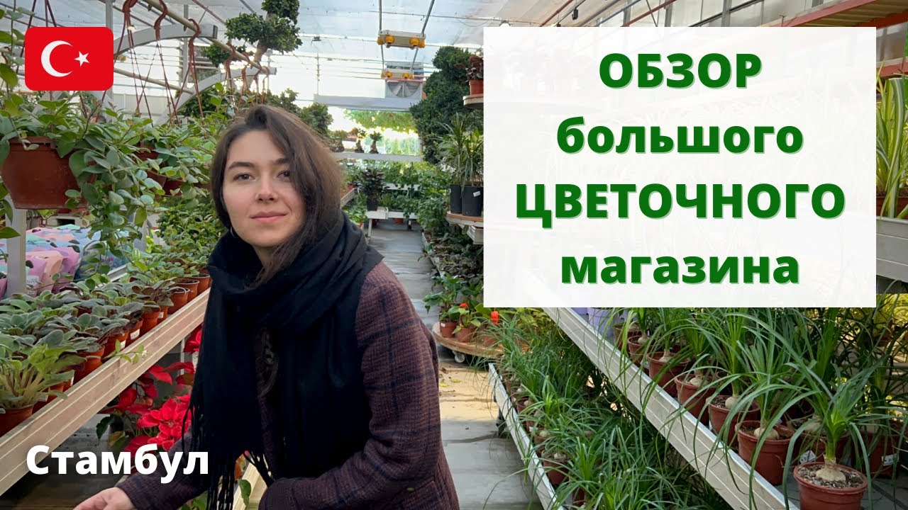 ОБЗОР большого садового центра Bahçe Market / Магазин РАСТЕНИЙ в Стамбуле