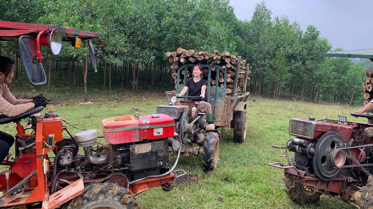 timber truck