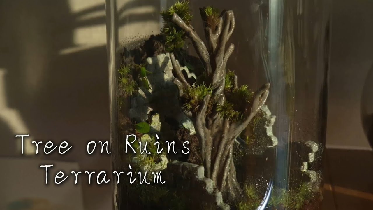 3D 프린터 인쇄 나무로 테라리움을 만들면? 폐허 속 나무 테라리움 만들기
