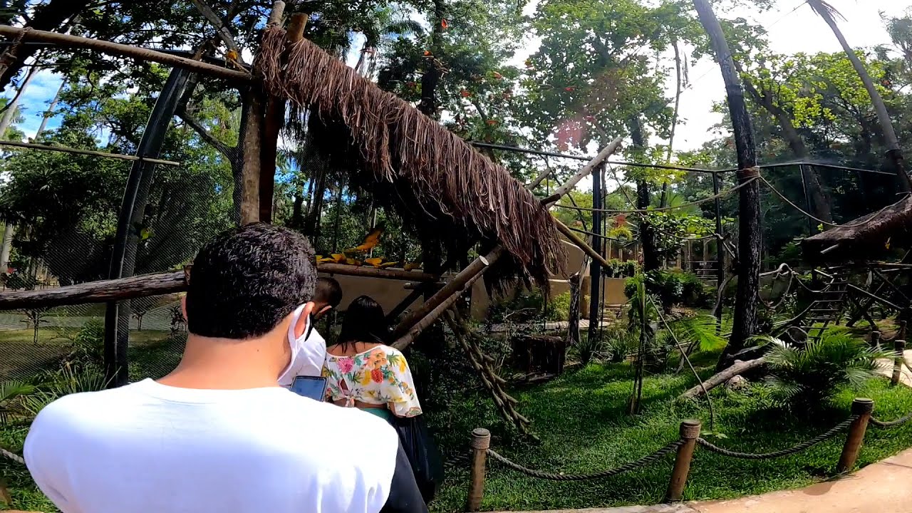 AVES SOLTAS BIOPARQUE DO RIO DE JANEIRO