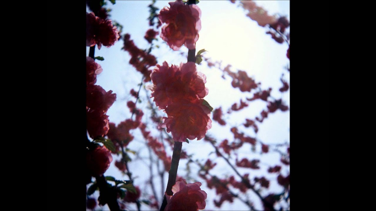 Ex Confusion - Before We Begin