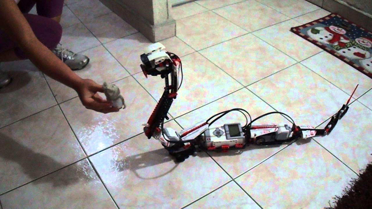 Robot Serpiente 1