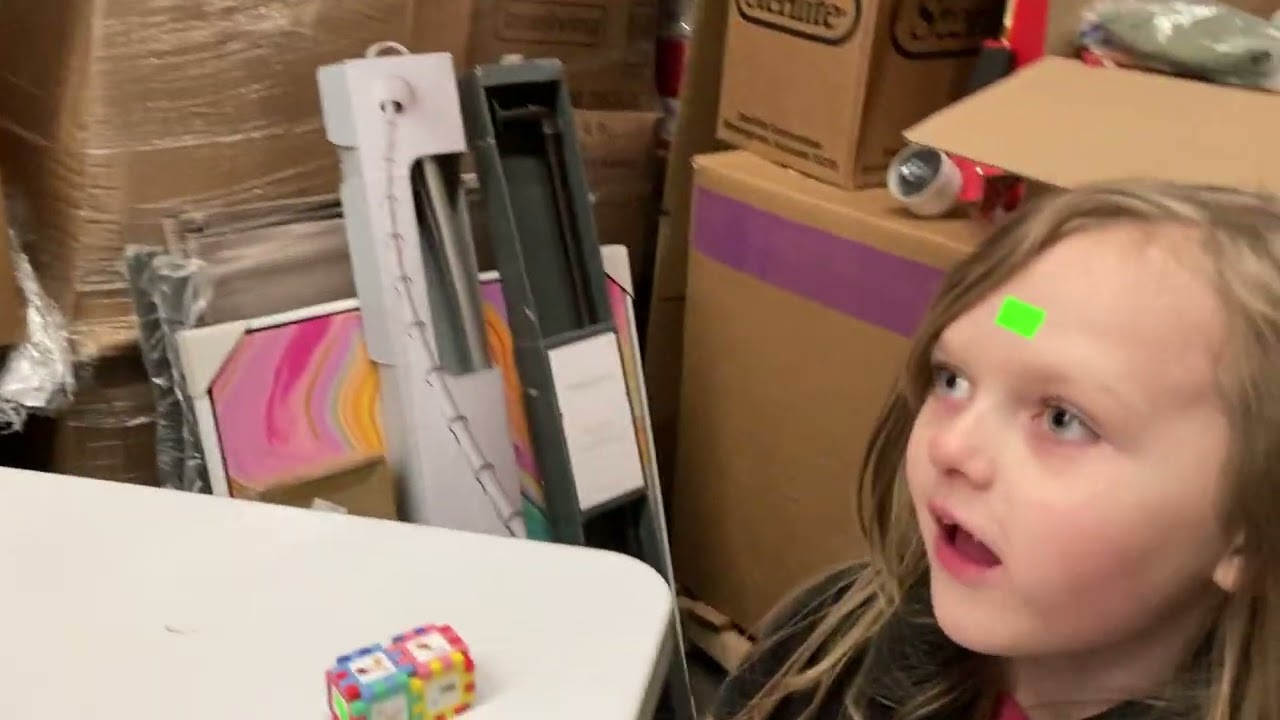 Dollar General mystery pallet unboxing - why so much candy?