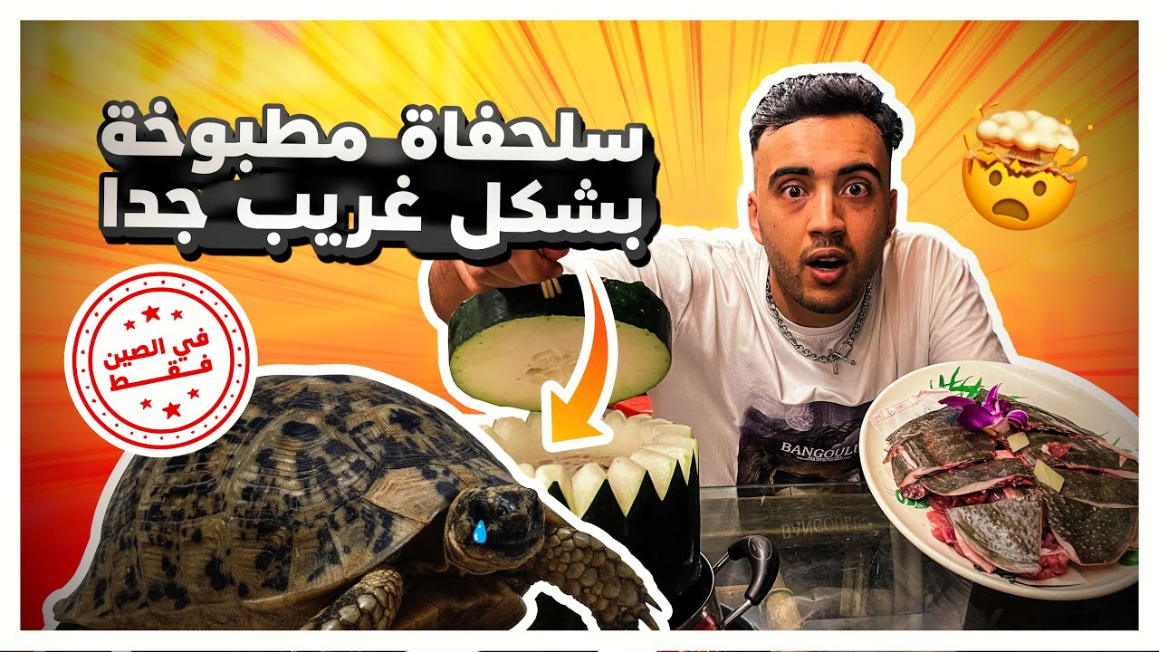 هل حقا قمت بأكل السلحفاة 🐢 ؟