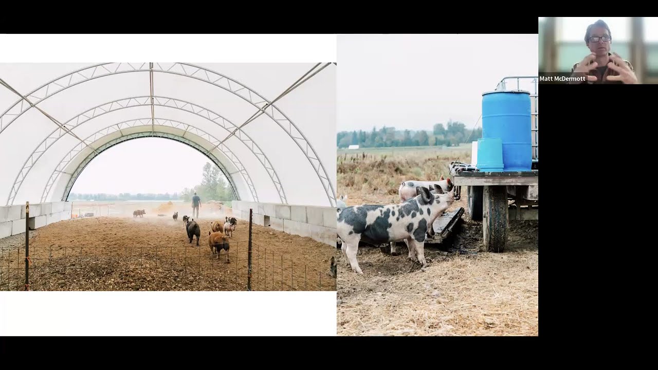 Whole-Hog Profitability: Small-Scale Meat Business Strategies with Alluvial Farms