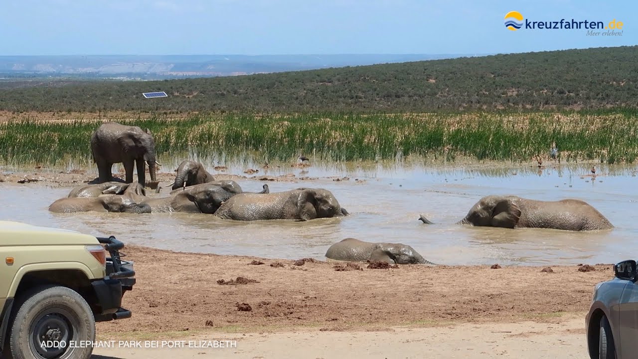 Südafrika & Namibia mit AIDAmira