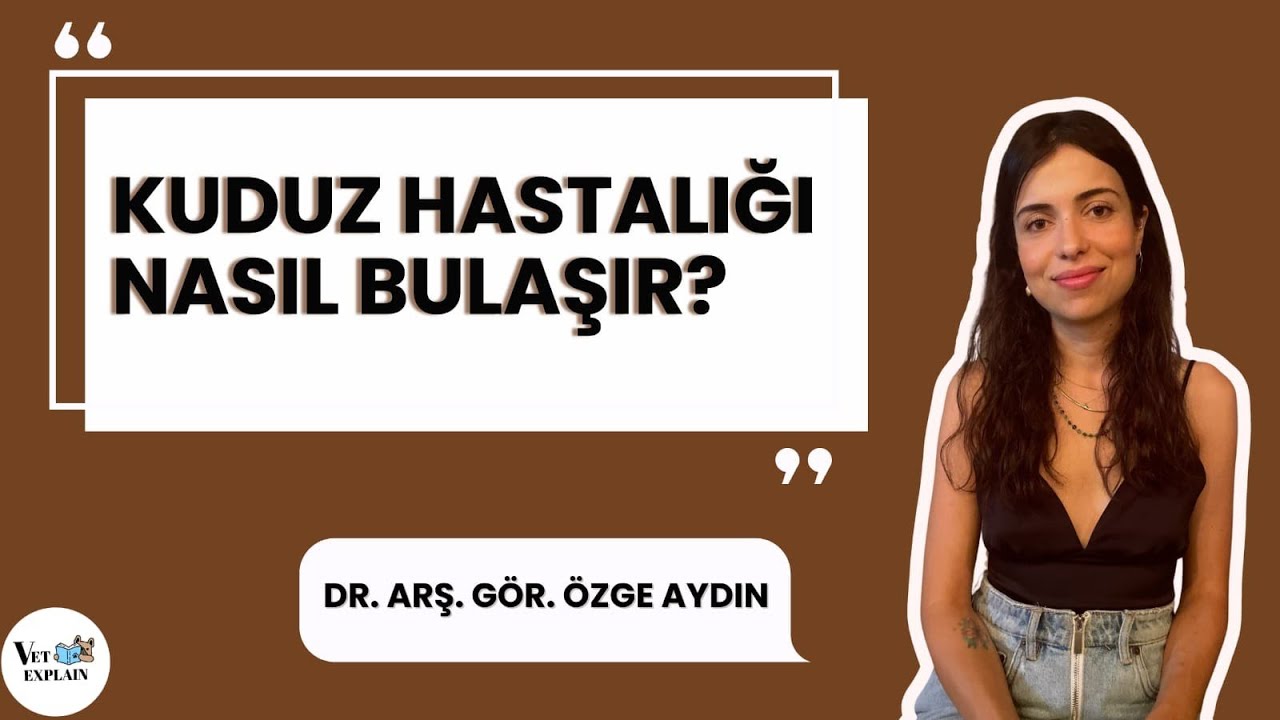 Kuduz Hastalığı Nasıl Bulaşır? Korunma Yolları Nelerdir? | 28 Eylül Dünya Kuduz Günü