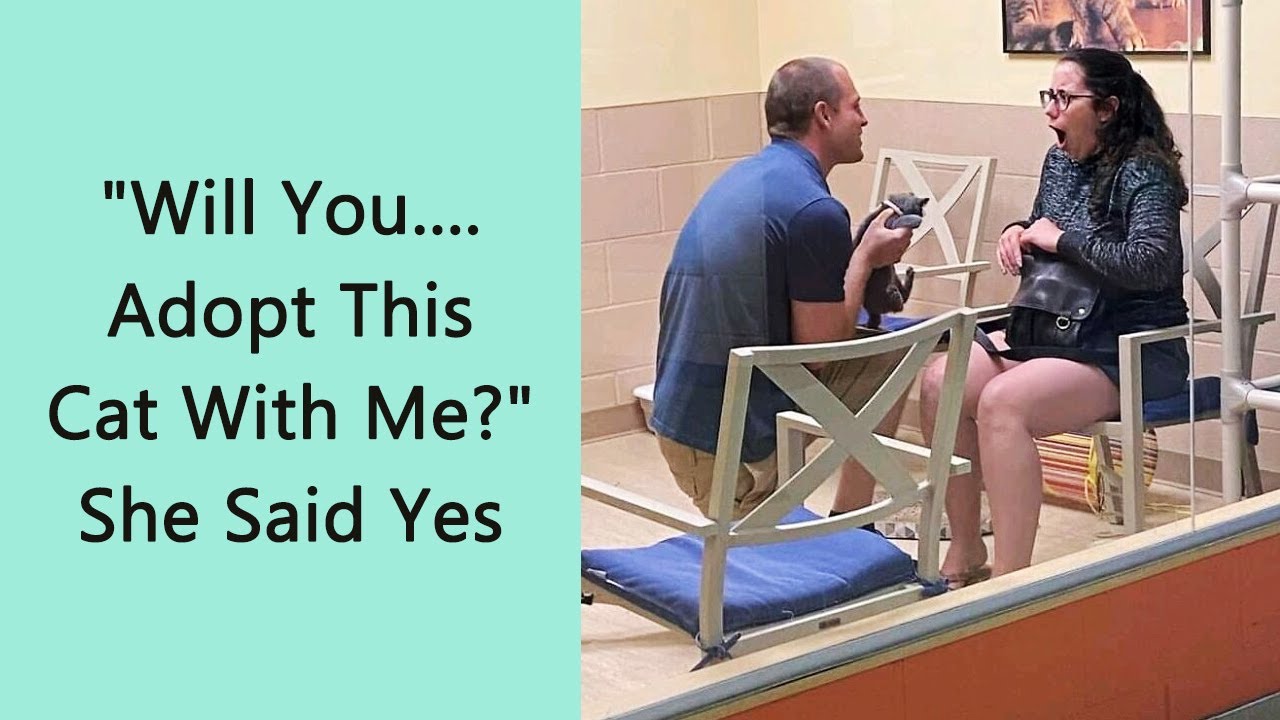 50 Heartwarming Pet Adoption Stories That Will Melt Your Heart (June Edition)