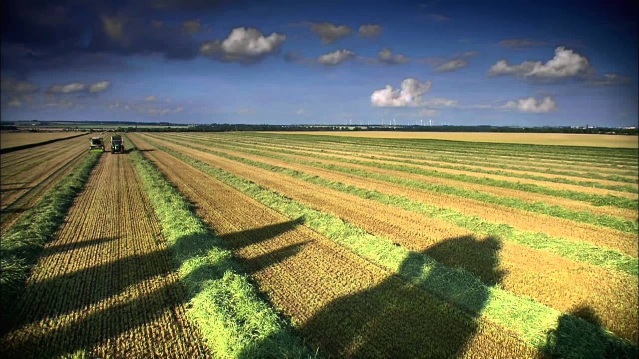 CLAAS Storm