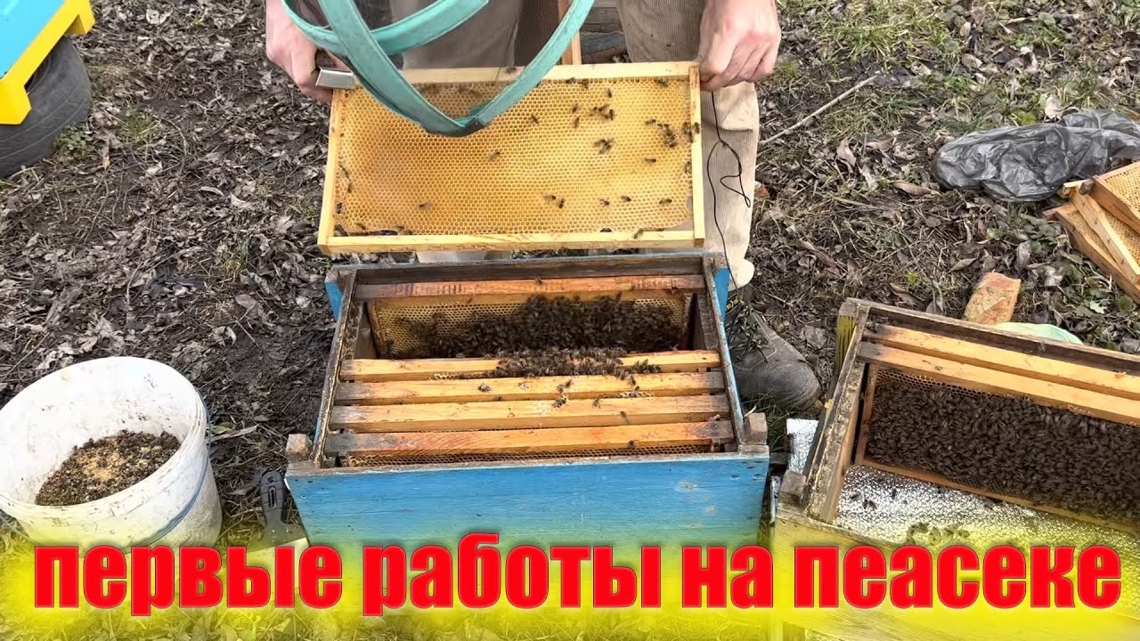 Первые весенние работы на пасеке. Чистка ульев от подмора. Забираем пустые рамки без меда