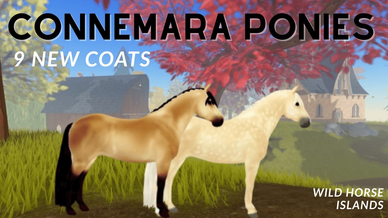 Connemara ponies!!!!!!