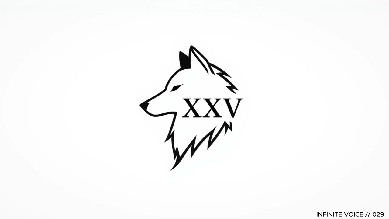 INFINITE VOICE // 29  I’M NOT YOUR GHOST