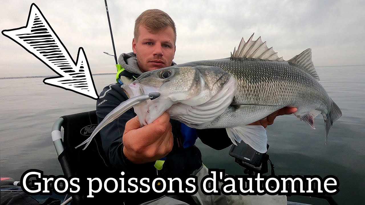 SEUL sur l'eau une matinée D'AUTOMNE et ça MORD