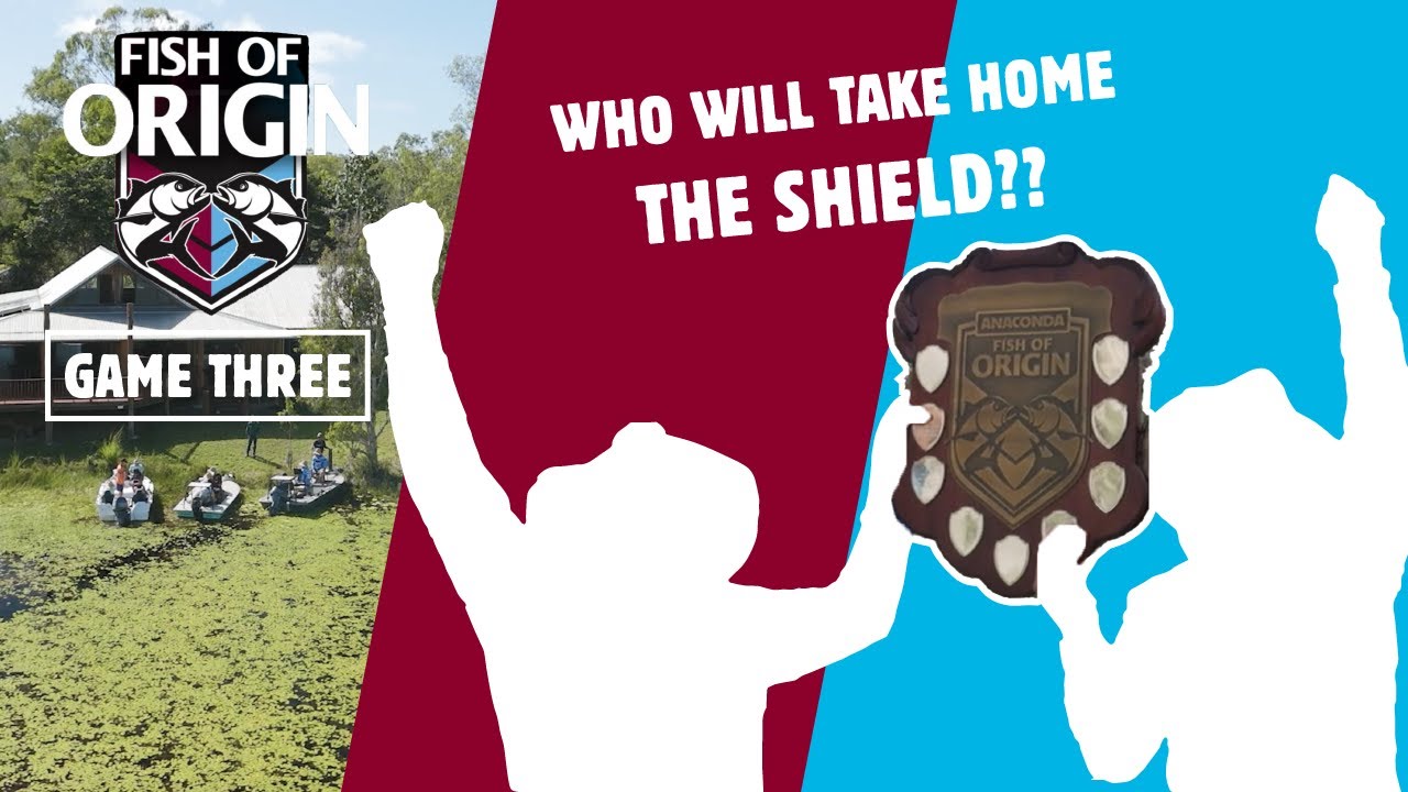 FISH OF ORIGIN 2024 | Episode 3 | The Shield