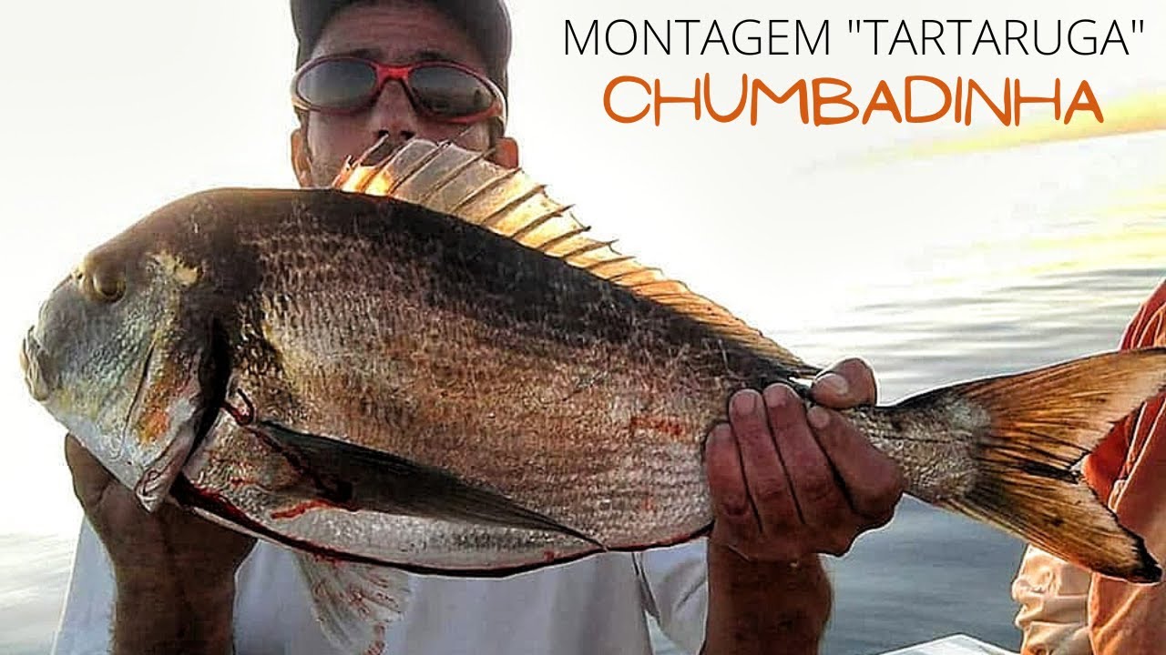 MONTAGEM TARTARUGA 🐢[ PESCA À CHUMBADINHA ]