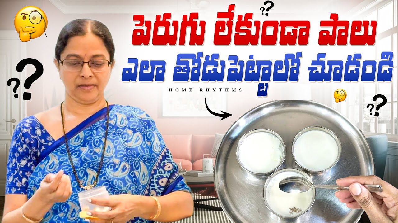 ఇంత Easyగా పాలు తోడుపెట్టుకోవచ్చుఈ పద్ధతిలో | Curd Recipe | Home Rhythms