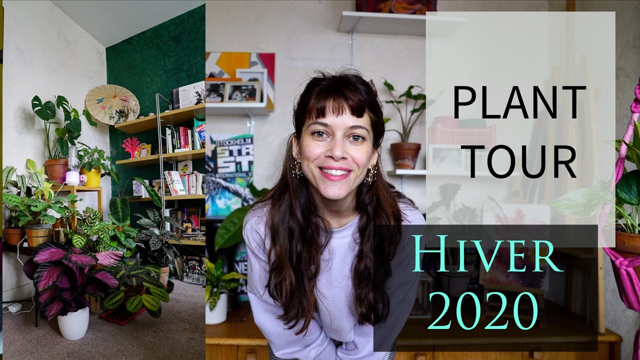 PLANT TOUR HIVER 2020 : + DE 70 PLANTES DANS MON SALON