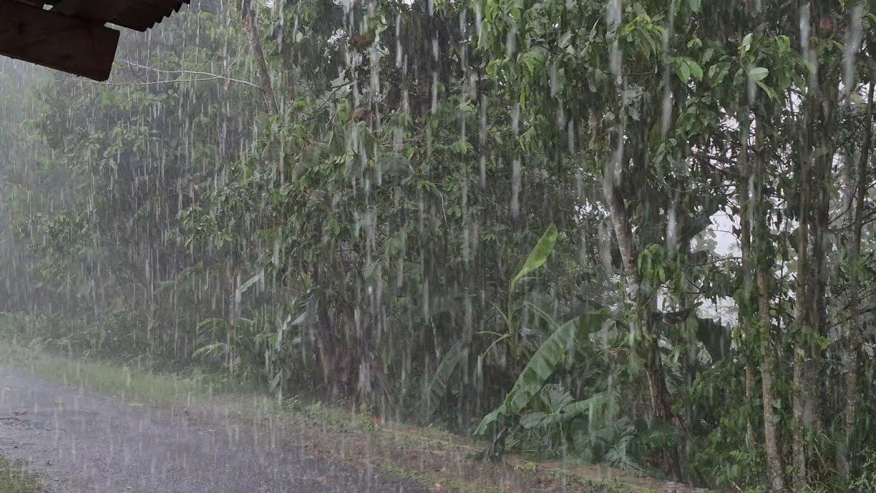 Heavy Rain So Powerful You’ll Sleep in 5 Minutes 🌧️ Anxiety Gone, Deep Relaxation All Night