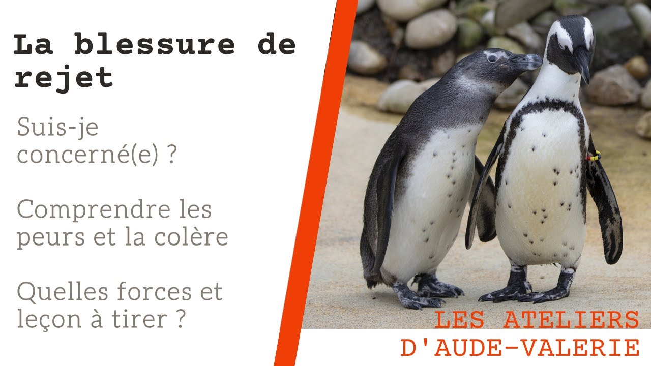 Libère toi de la colère et des peurs du rejet ! #gestiondesemotions #hypersensible #coaching