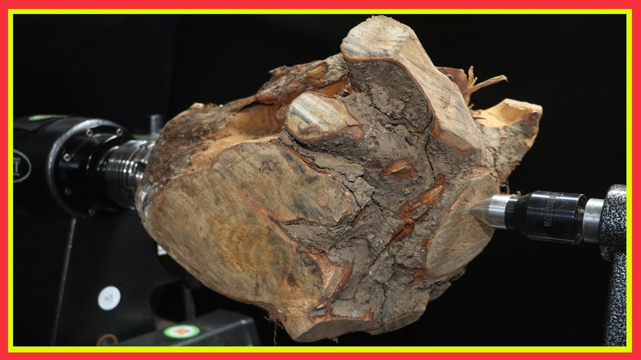 A camphor root --- wood turning