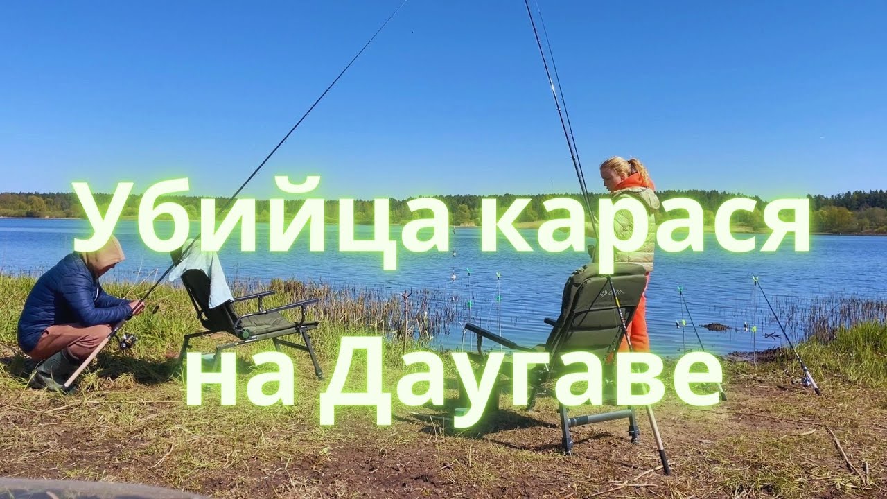 Убийца карася на Даугаве / Fishing in Latvia / Рыбалка на Даугаве