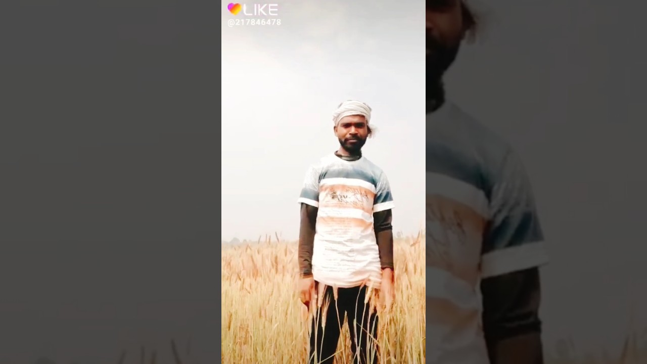 #dhanimarandi #newsantaliromanticlovestorysong #song #santaliprogram #dineshtudu