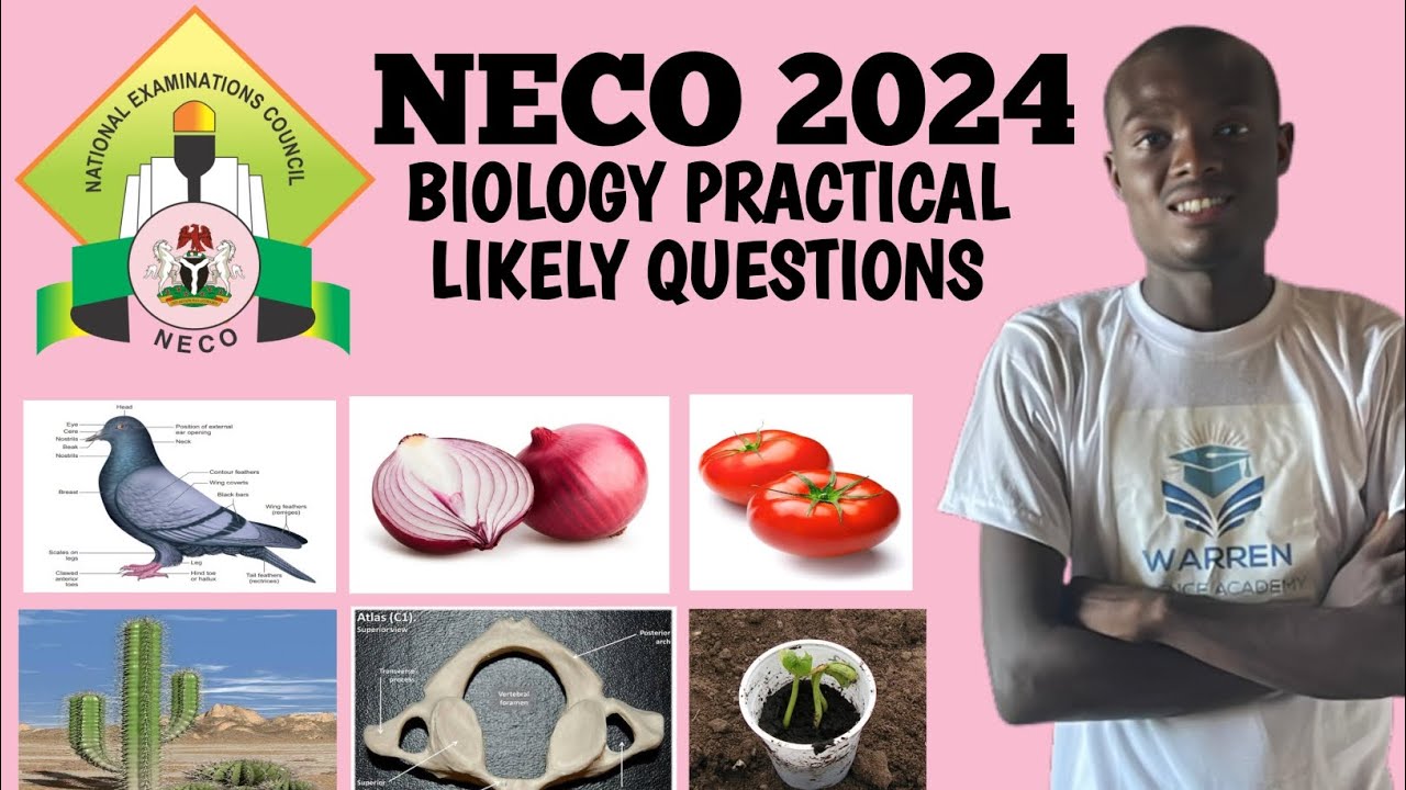 2024 NECO BIOLOGY PRACTICAL EXAMINATION GUIDE