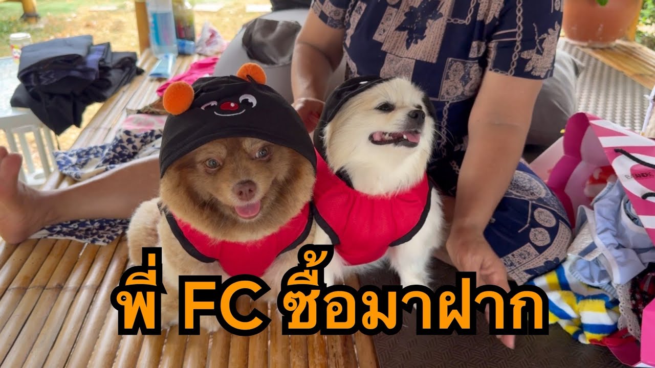 ใครจะไปคิดว่ามันจะเซอร์ไพรซ์ขนาดนี้ | แกะกล่องของฝากจากพี่เอฟซีถึงน้องเข้าใหม่และน้องเข้ากล้อง￼