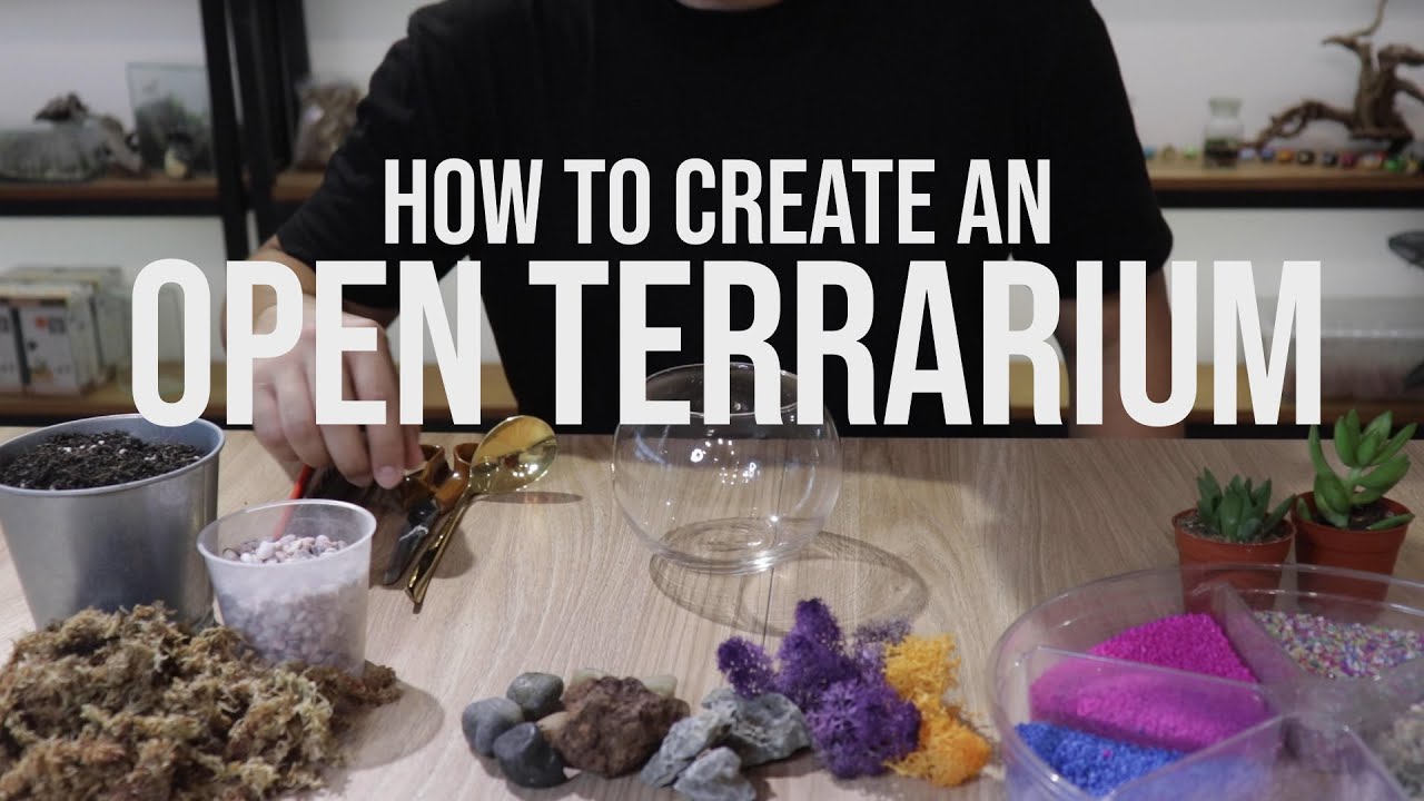 How to build an Open Succulent Terrarium