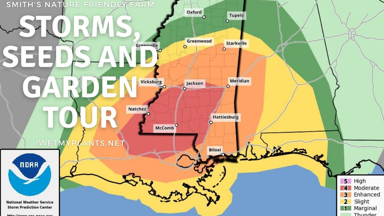 Tornadoes, Seed Challenge Update & Quick Garden Tour