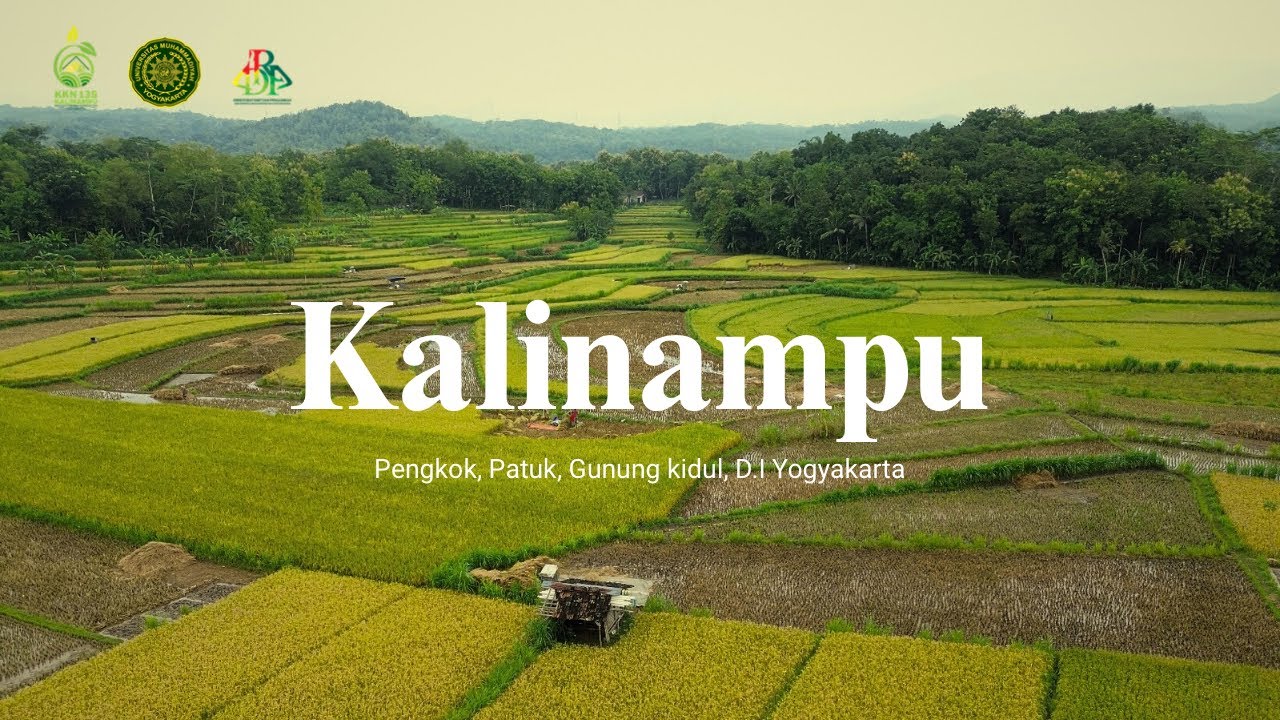 Profil Desa Kalinampu | KKN REG 135 UNIVERSITAS MUHAMMADIYAH YOGYAKARTA 2026