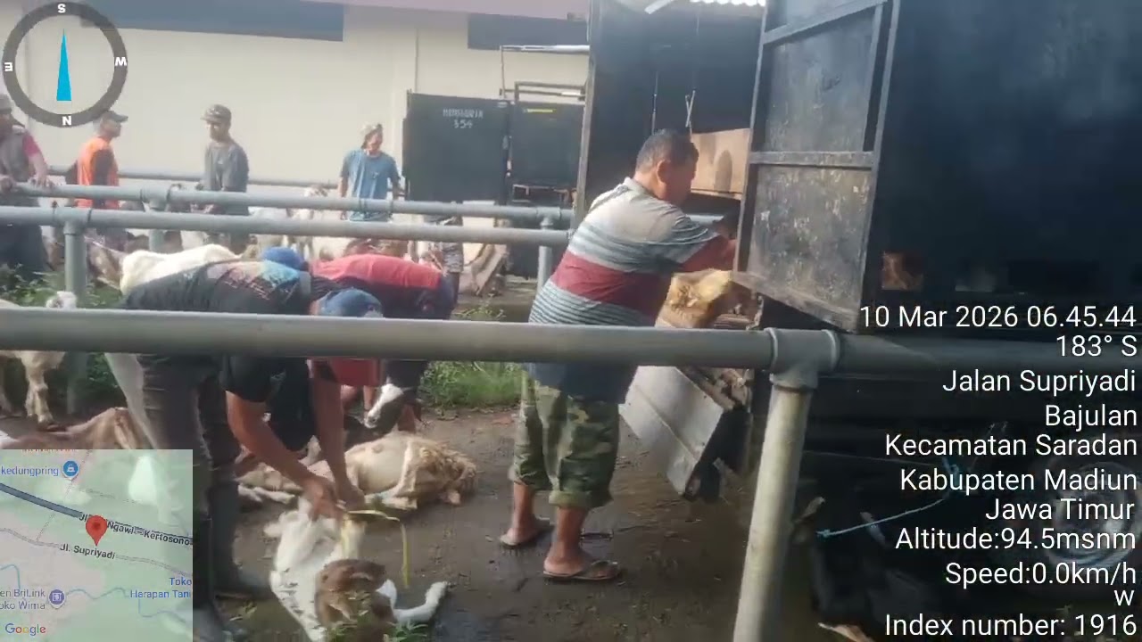 Sudah mulai rame pasar nya,tapi harga masih rendah...