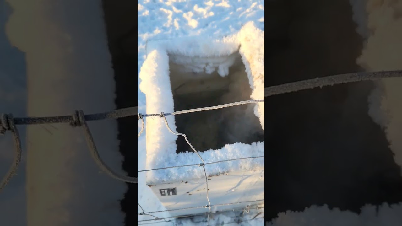 update on cheap livestock water system