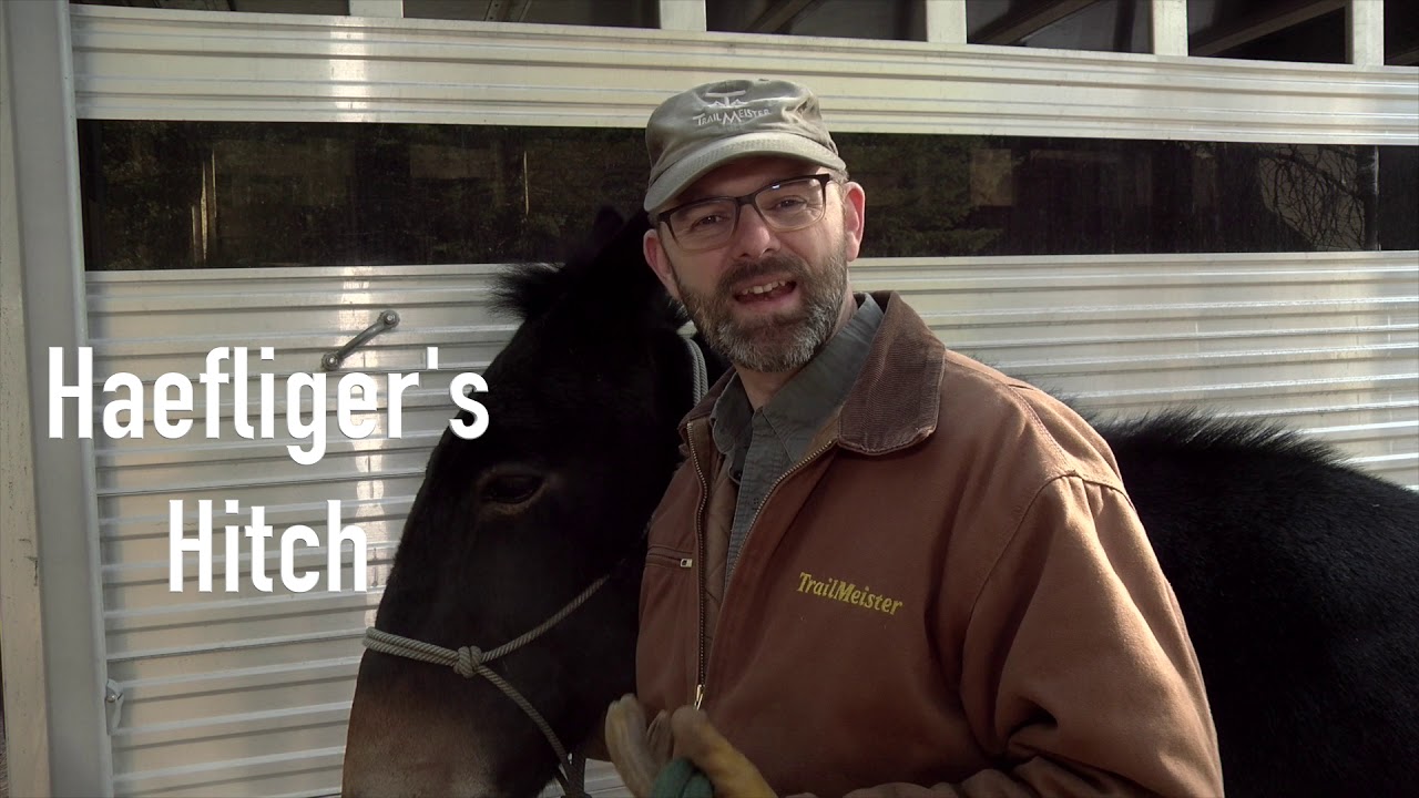 3 Knots to Tie Horses - Bank Robbers | Quick Release | Tree Wrap